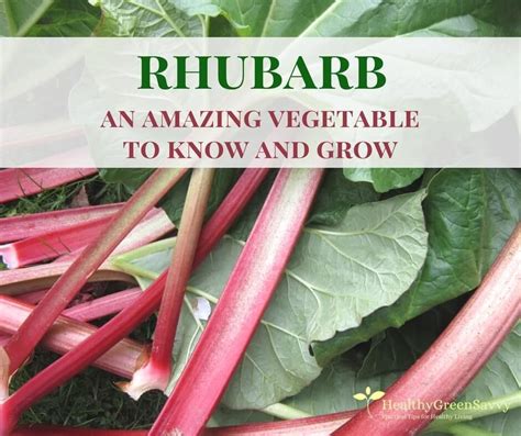 Relevance popular quick & easy. 40+ Fantastic Uses for Rhubarb to Celebrate Spring ...
