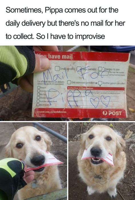 15 Wholesome Dog Memes That Are Too Pure For This World