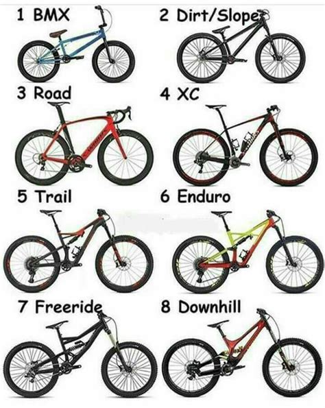 Types Of Mtb Bikes
