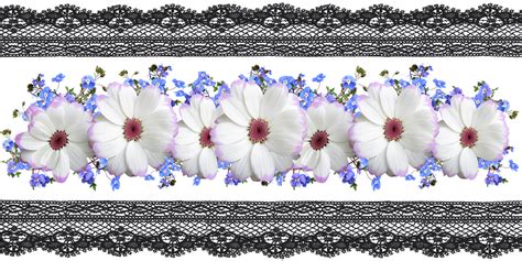10000 Free Lace Border And Lace Images Pixabay