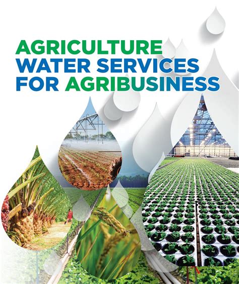 Akademi sains malaysia) is a statutory body in the malaysian government established under an act of parliament (academy of sciences malaysia act 1994). Agriculture Water Services for Agribusiness by Academy of ...