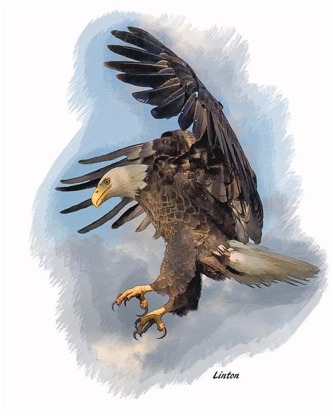 American Bald Eagle Digital Art By Larry Linton