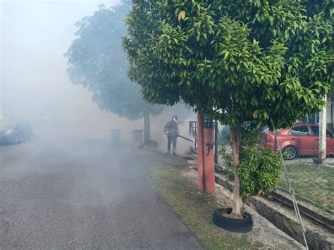 Minggu lepas, suami saya dimasukkan ke hospital kerana demam denggi berdarah. AKTIVITI KAWALAN DEMAM DENGGI DALAM KAWASAN MBS | Portal ...