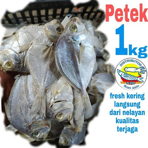 Jual Ikan Asin Petek Besar 1kg Di Lapak Kshsanto Bukalapak