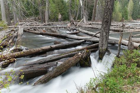 Log Jam On The Bumping River By Jeff Swan Incredible Places