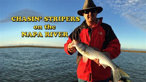 Fishing for Striped bass on the Napa River - YouTube