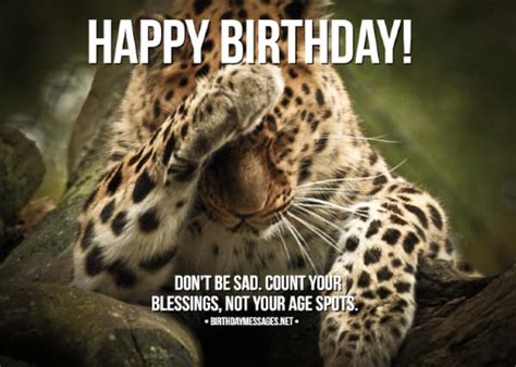 Funny Birthday Wishes And Birthday Quotes Funny Birthday