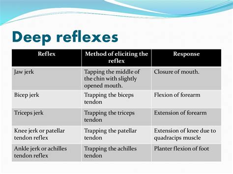 Superficial And Deep Reflexes