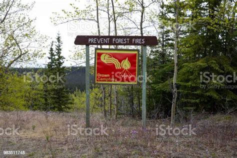 Forest Fire Sign Stock Photo Download Image Now Alaska Us State