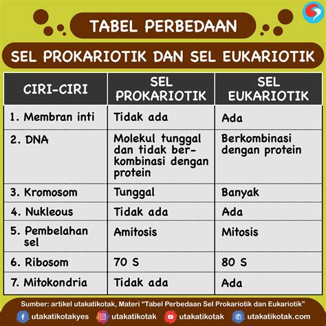 Sebutkan Perbedaan Sel Tumbuhan Dan Sel Hewan – Ilmu