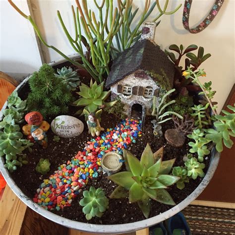 This Is The Mini Garden I Did Out Of Mostly Succulents I Combined Last