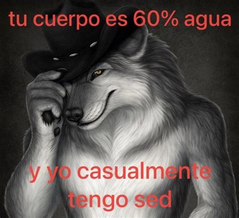 Top Memes De Lobos Virales En Internet Memedroid