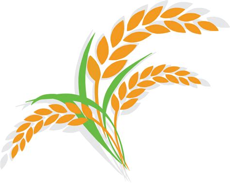 Rice Clipart Cereal Plant Rice Plant Clipart Png Transparent Png
