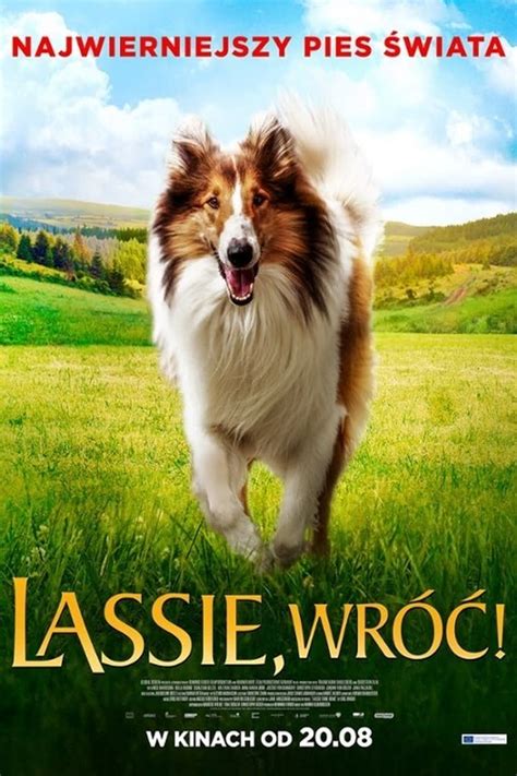 Lassie wróć Cały Film Obejrzyj Online Vider