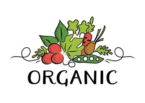 Vegetable And Organic Logo Stock Vector Illustration Of Fresh 70507920