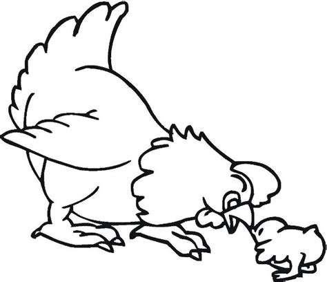 Download now belajar mewarnai gambar binatang ayam untuk. Koleksi Sketsa Mewarnai Gambar Ayam Terbaik