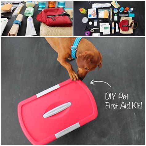 Diy Pet First Aid Kit Diy Stuffed Animals Pets