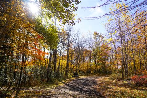 A Brief Visit To Mount Davis Highest Point In Pennsylvania