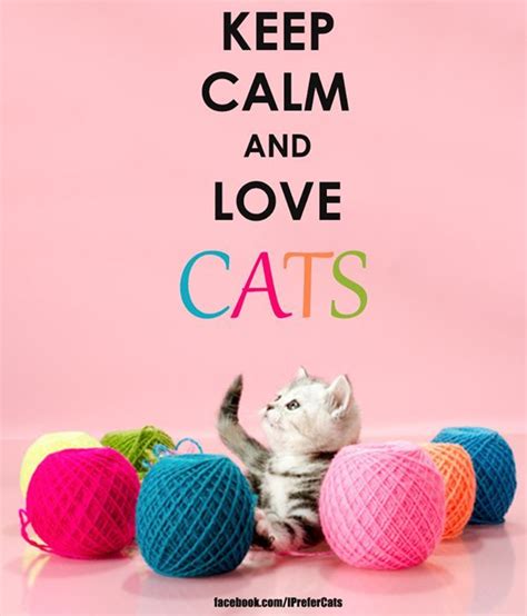 Go Jo Lo Keep Calm And Love Cats ~ Cats Are Adorable ♥ Cats Keep