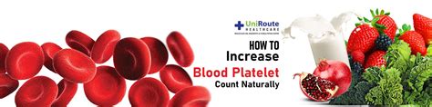 How To Increase Blood Platelet Count Naturally Top 7 Foods Uniroute