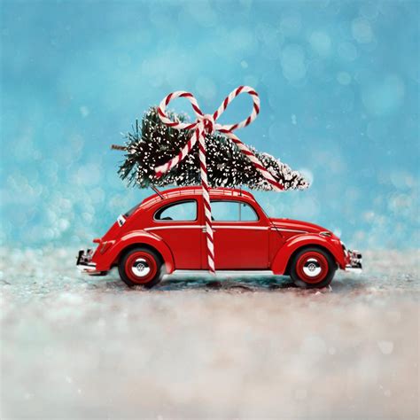 volkswagen have you picked up your christmas tree yet