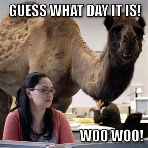 Guess What Day It Is Woo Woo Pictures Photos And Images