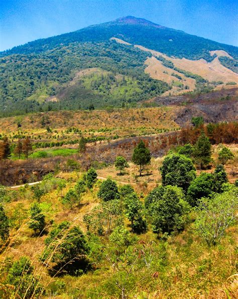 Wisata Petualangan Bukit Lambosir - fauzi_prima