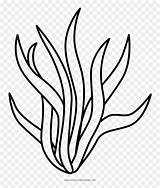 Seaweed Vhv Pngio Pngitem sketch template