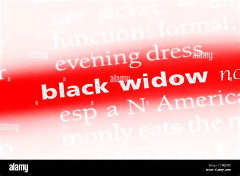 Black Widow Word In A Dictionary Black Widow Concept Stock Photo Alamy