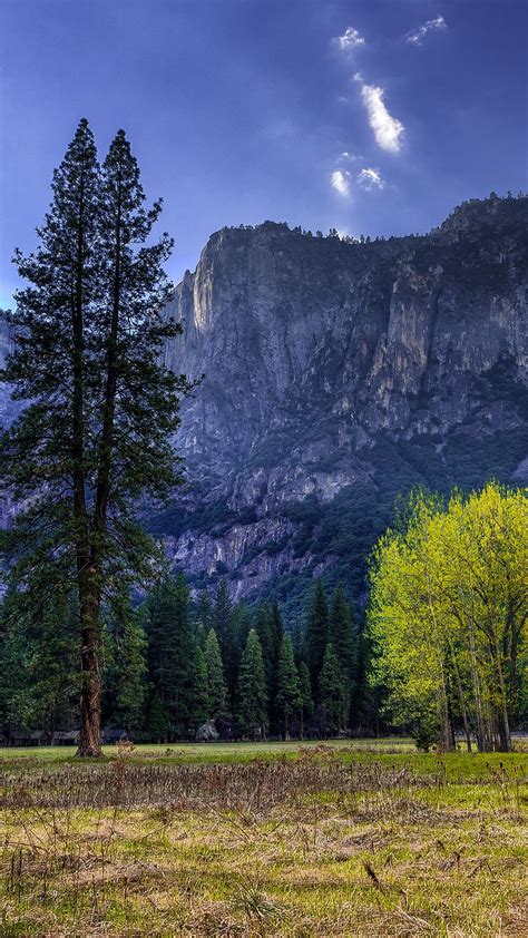Yosemite National Park Landscape Wallpaper Backiee
