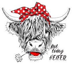Cute Cow "Not Today Heifer" Sticker png image