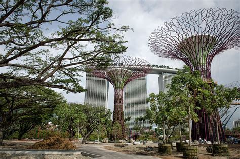 Supertrees Im Garden By The Bay Eröffnung Des Parks In Singapur Der