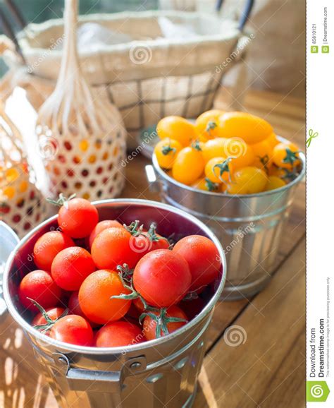 Holland Cherry Tomato In Metal Bucket Placed On Wood Table Stock Image - Image of placed 
