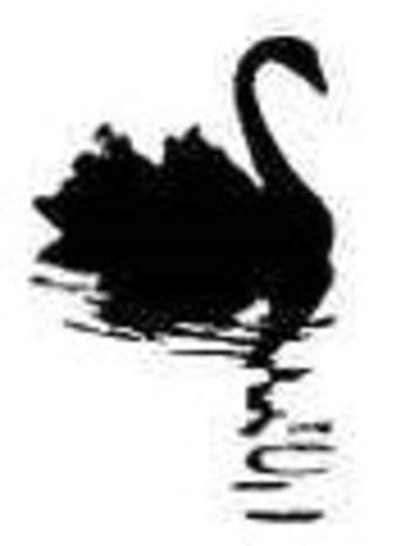 Black Swan Free Images At Vector Clip Art