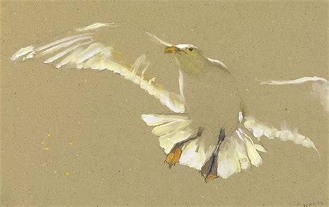 Gull Ascending By Jamie Wyeth On Artnet Auctions Jamie Wyeth Wyeth