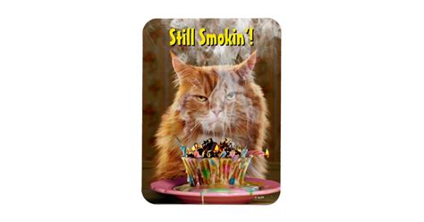Funny Cranky Cat With Melted Birthday Cupcake Magnet Zazzle