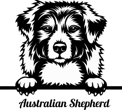 Australian Shepherd 2 Peeking Dog Decal