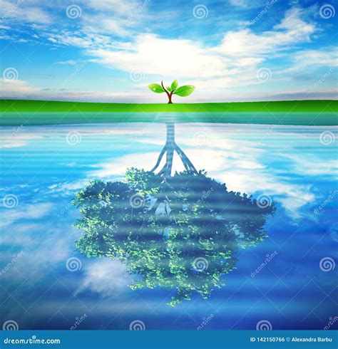 Tree With Reflection In Water Concept For Growth Success Vector