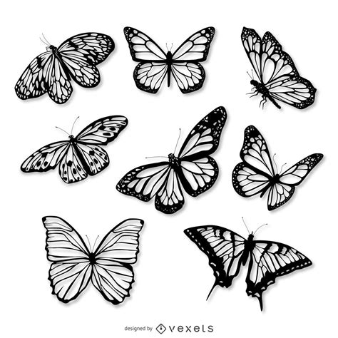 Realistic Butterfly Illustration Set Vector Download