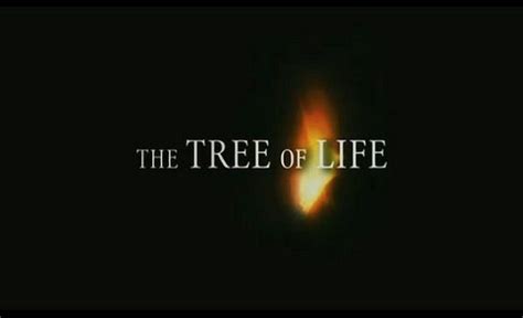 Terrence Malicks Tree Of Life Trailer Is Breathtakingly Beautiful