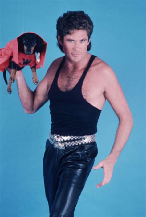 Just David Hasselhoff With Some Puppies Vintage Everyday