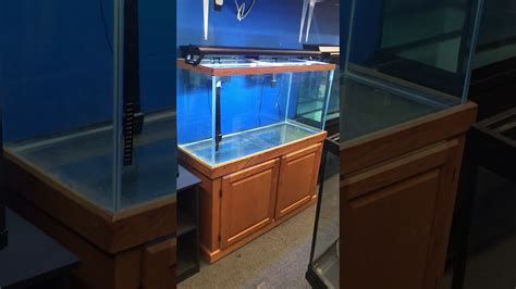 90 Gallon Aquarium Fish Tank Complete Set Up 500 Youtube