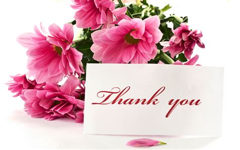 Floral thank you red gerbera daisy flowers postcard | zazzle.com. Thank You Flowers - WeNeedFun