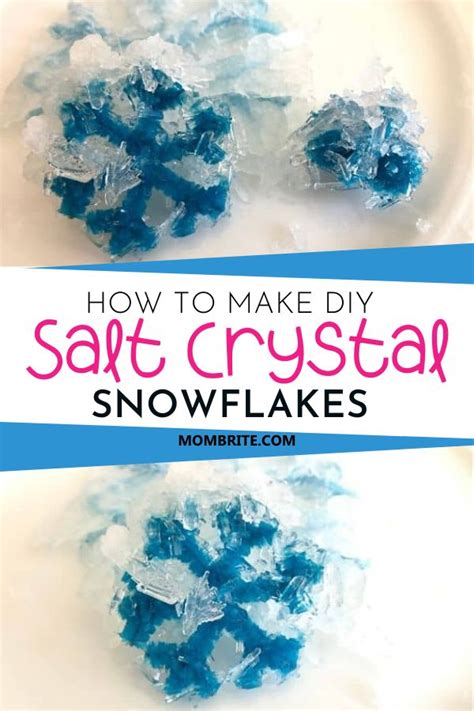 How To Grow Salt Crystal Snowflakes Salt Crystal Snowflakes Diy