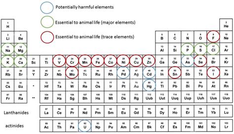 Periodic Table Noting The Elements That Are Potentially Harmful And