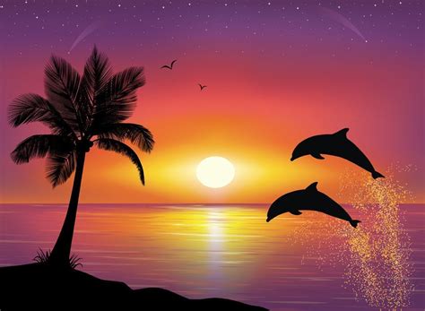 Sunsets With Dolphins Wallpapers Wallpaper Cave