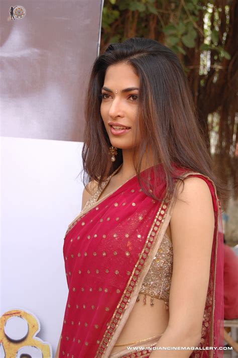 telugu actress hot photos parvati omanakuttan new sexy red saree pic