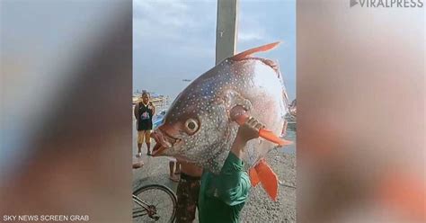 فيديو لفلبيني اصطاد سمكة عملاقة سكاي نيوز عربية