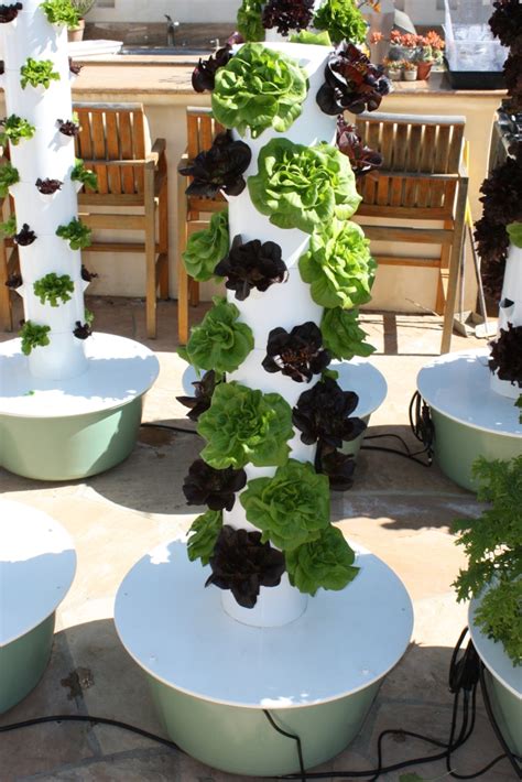 Pvc pipe 4 inch 2. Single Hydroponic Tower