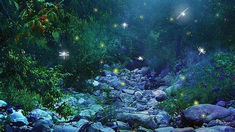 Hd Wallpaper Art Fantasy Firefly Forest Glow Insects Lights